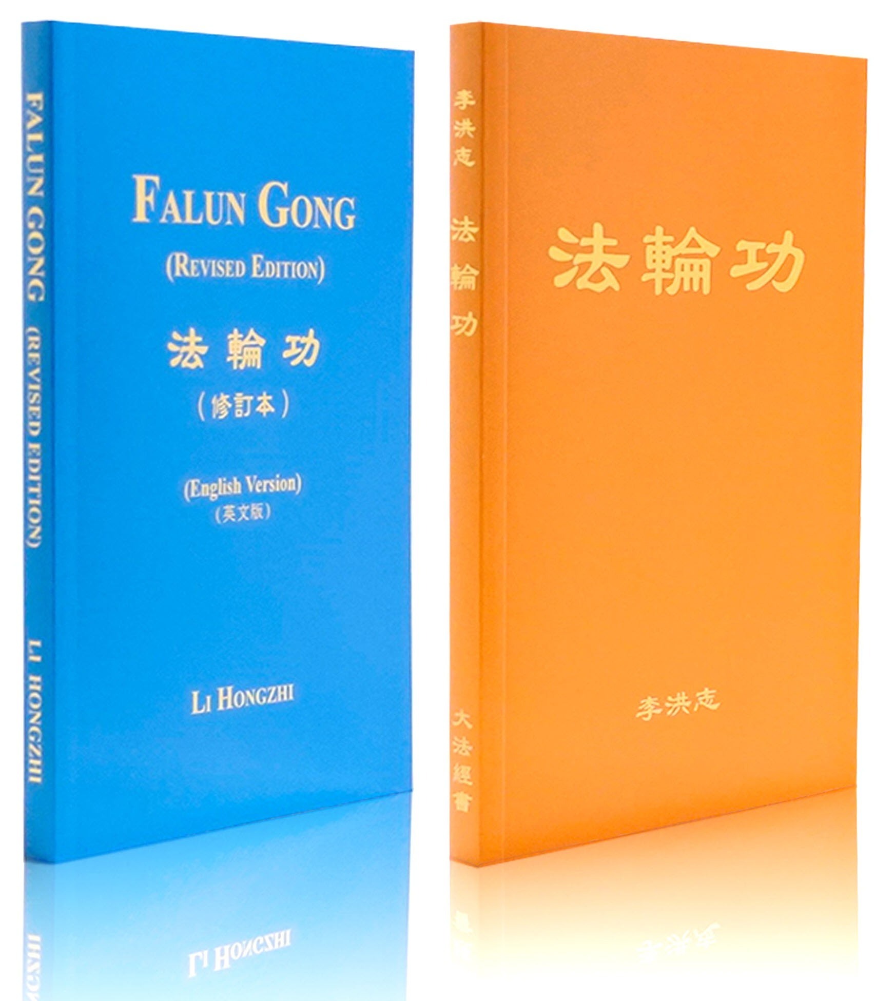 Falun Dafa book